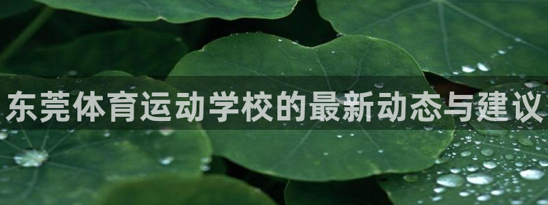 JJB竞技宝官网下载平台注册要钱吗是真的吗:东莞体育运动学校
