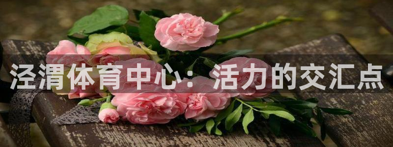 JJB竞技宝官方正版app娱乐平台:泾渭体育中心:活力的交汇